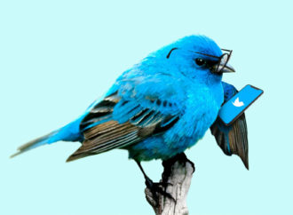 Niedługo zapłacimy za Twittera? Na razie to tylko testy…